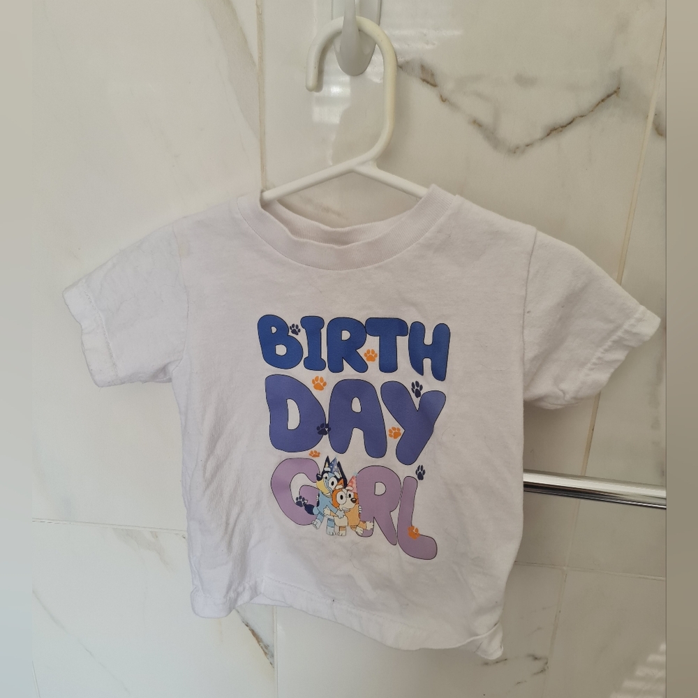 COPY - 2T Bluey Birthday Girl Tshirt